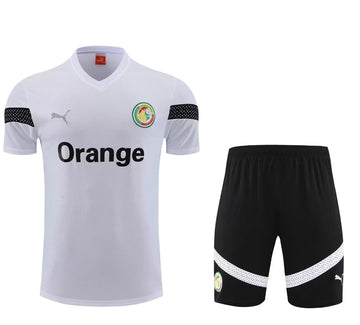 TRAINING ÉTÉ HAUT/BAS SENEGAL 2022-2023